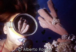 REFLEXION.
The pink tube sponge is reflecting in the gla... by Alberto Romeo 